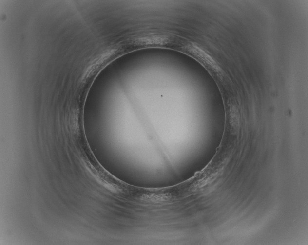 X0000072550537200607211401