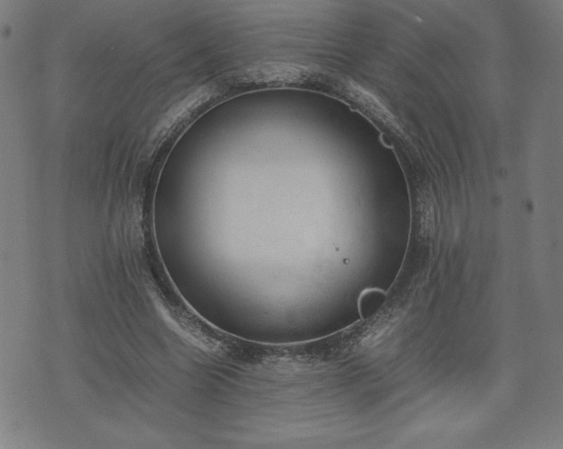 X0000072550538200607211401