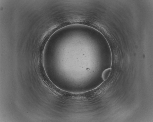 X0000072550539200607211401