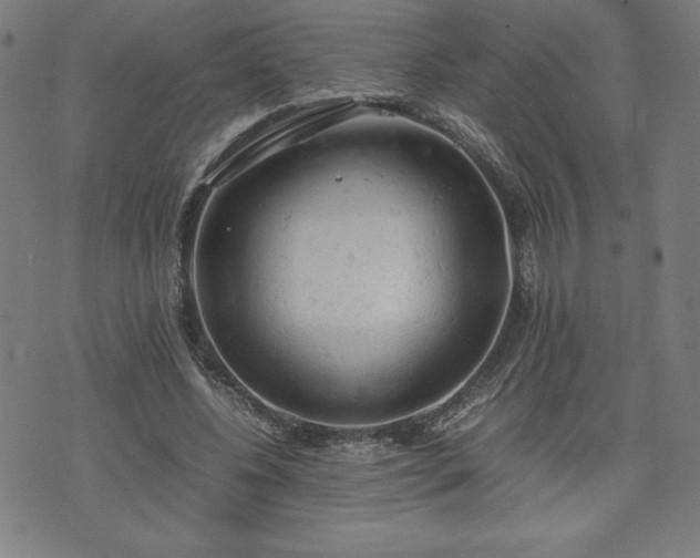 X0000072550540200607211401