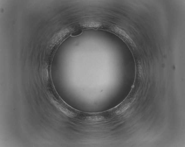 X0000072550541200607211401