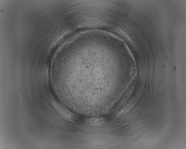 X0000072550542200607211401