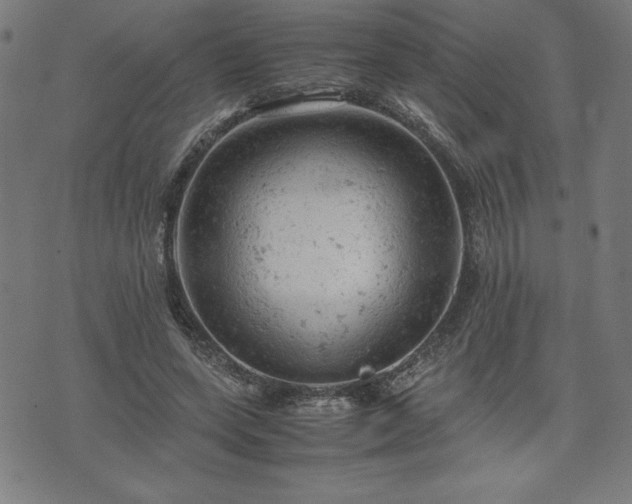 X0000072550543200607211401