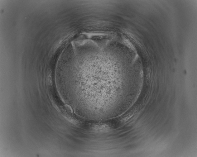 X0000072550547200607211402