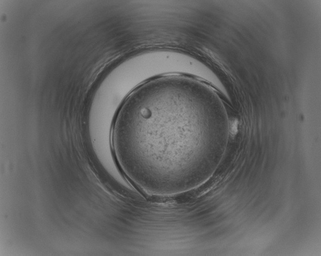 X0000072550548200607211402