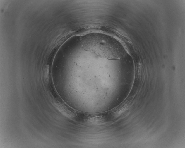 X0000072550550200607211402