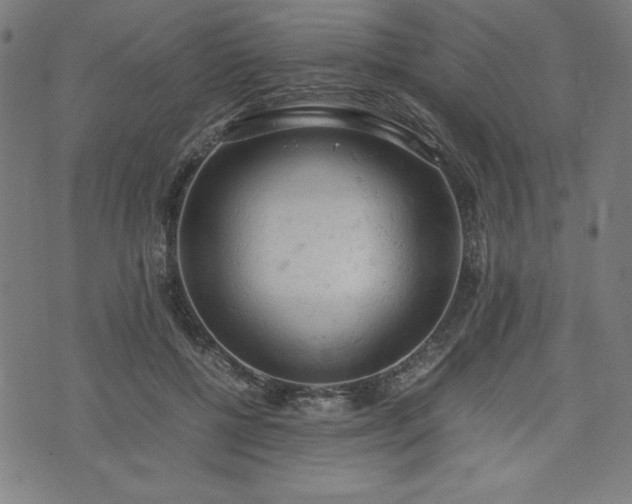 X0000072550552200607211402