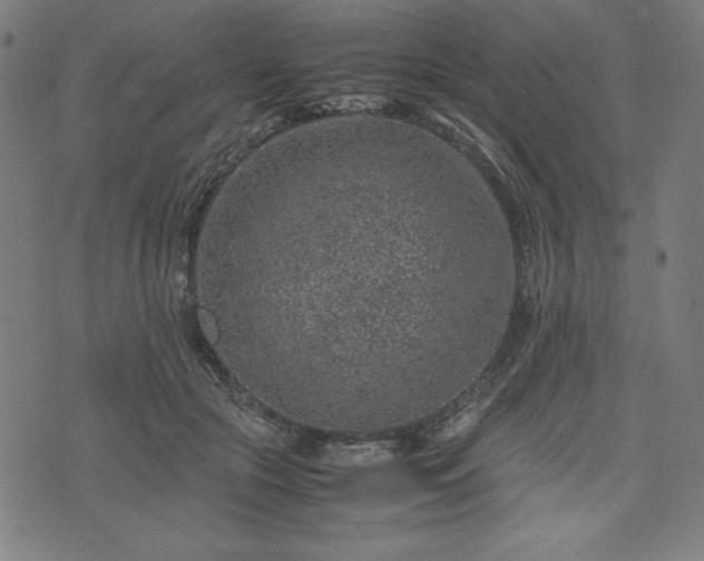 X0000072550553200607211402