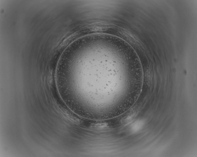 X0000072550554200607211402