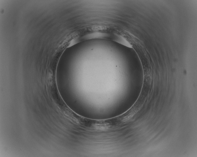 X0000072550556200607211402