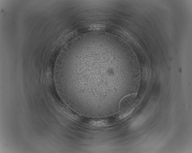 X0000072550557200607211402