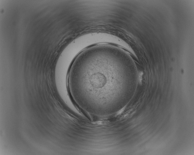 X0000072550558200607211402