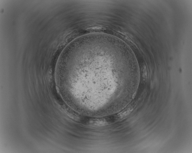 X0000072550559200607211402