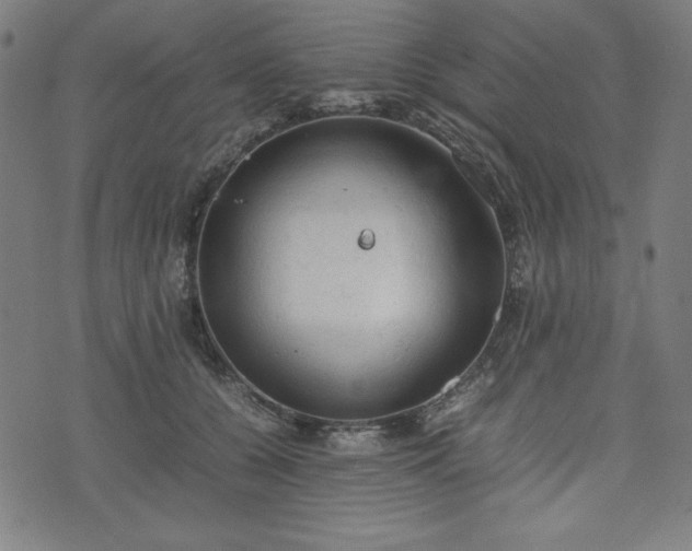 X0000072550560200607211402