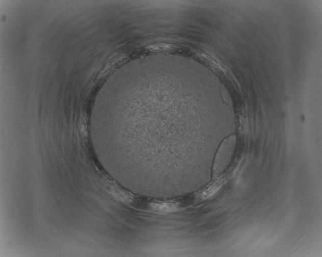 X0000072550561200607211402