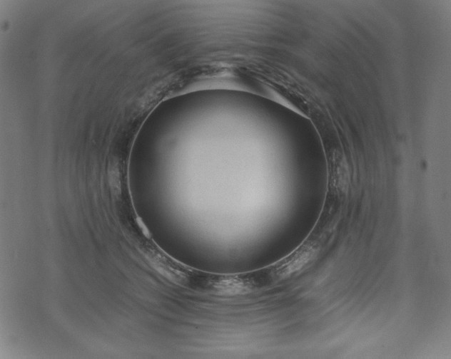 X0000072550562200607211402