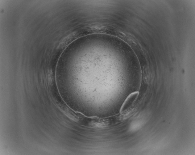 X0000072550563200607211402