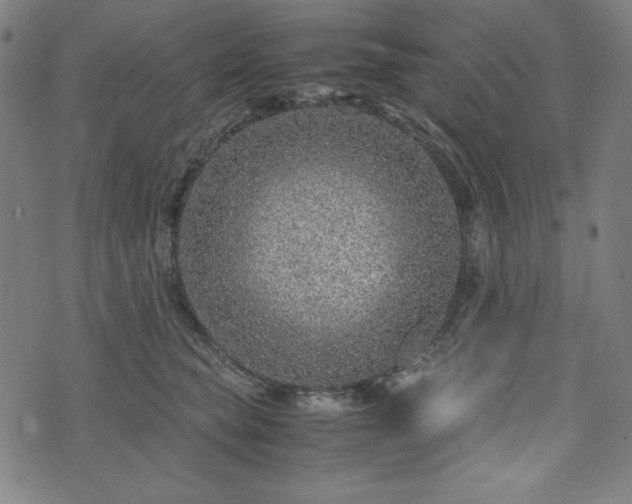 X0000072550565200607211402