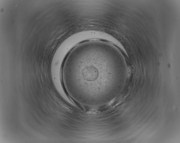 X0000072550566200607211402