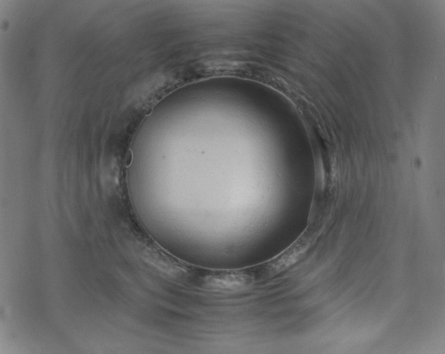 X0000072550567200607211402