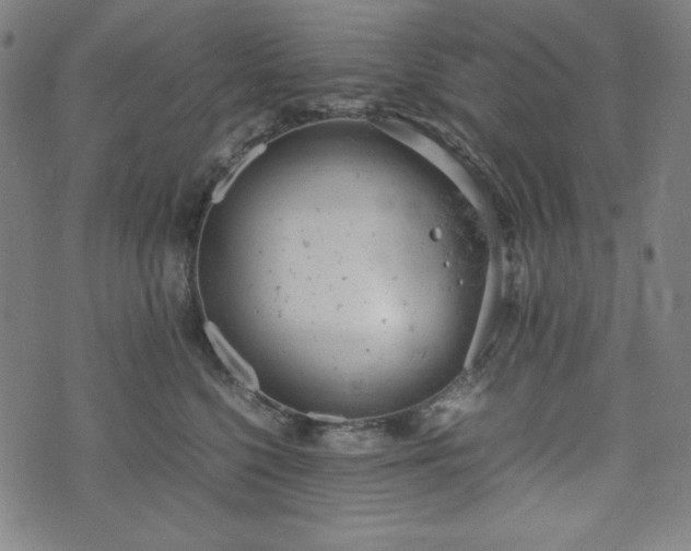 X0000072550568200607211402