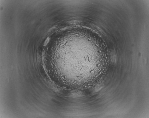 X0000072550569200607211402