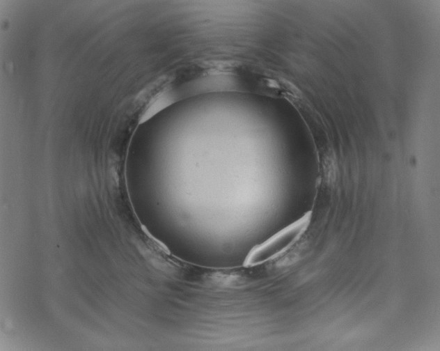 X0000072550570200607211402