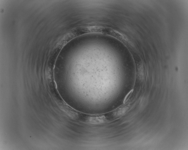 X0000072550571200607211402