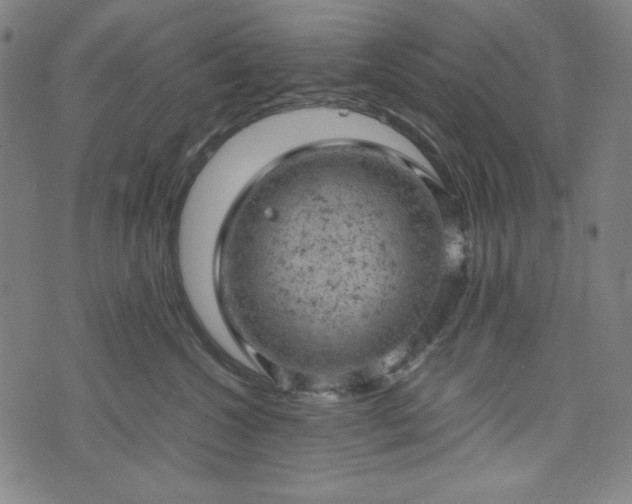 X0000072550572200607211402