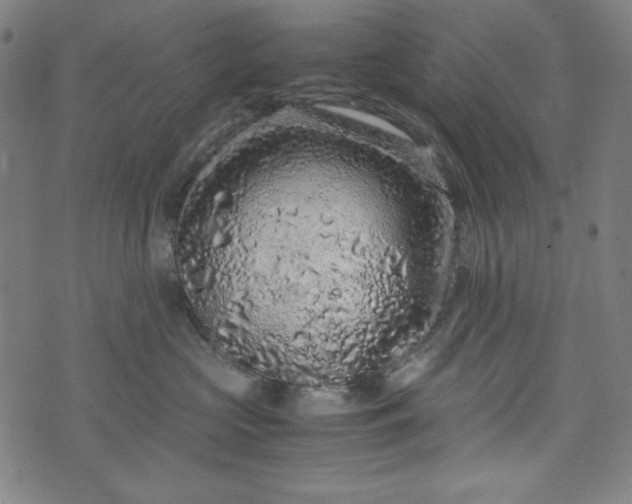 X0000072550573200607211402