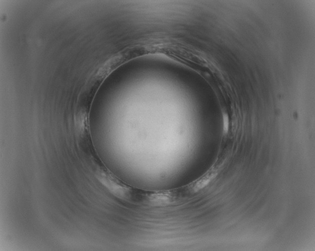 X0000072550574200607211402