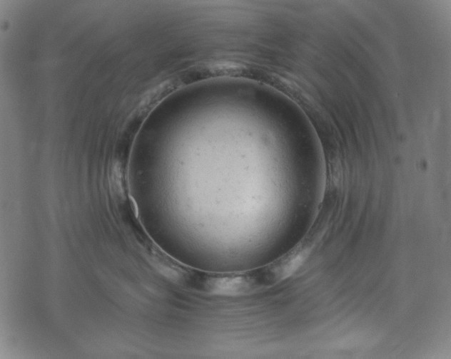 X0000072550575200607211402