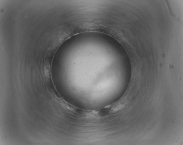 X0000072550576200607211402