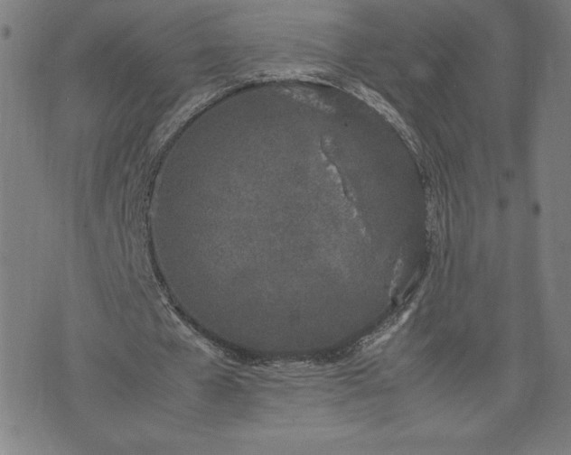 X0000072550577200607211401