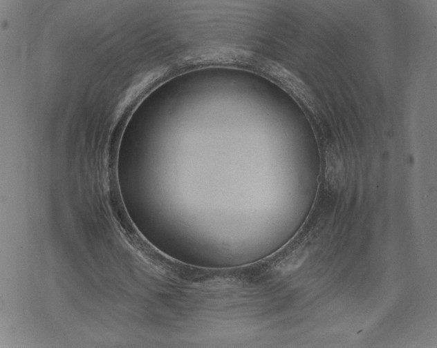 X0000072550578200607211401