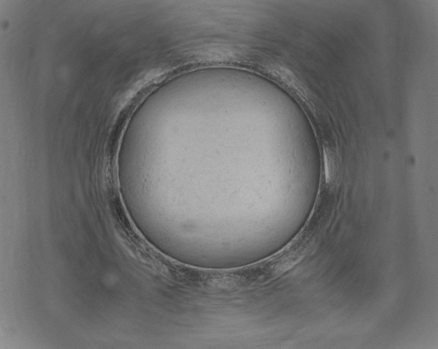 X0000072550579200607211401