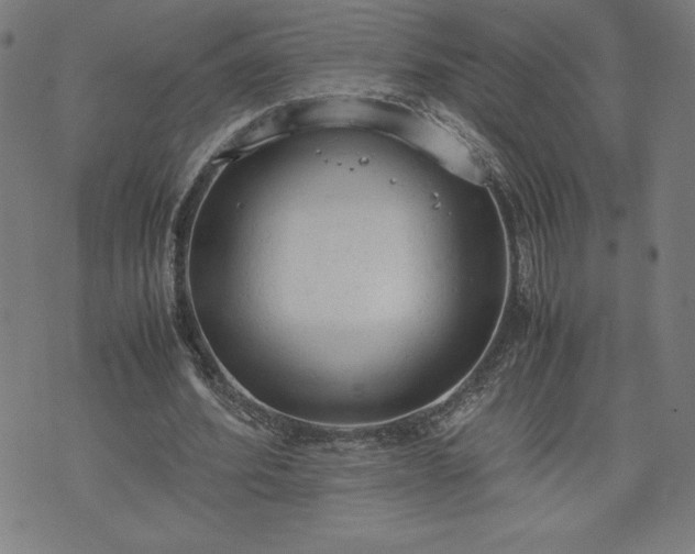 X0000072550580200607211401