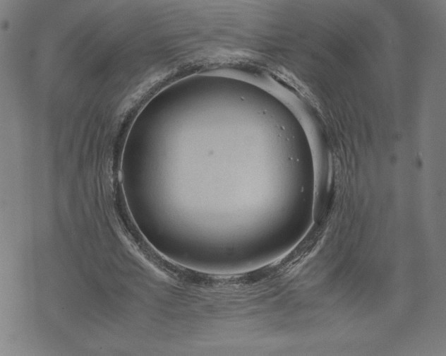 X0000072550581200607211401