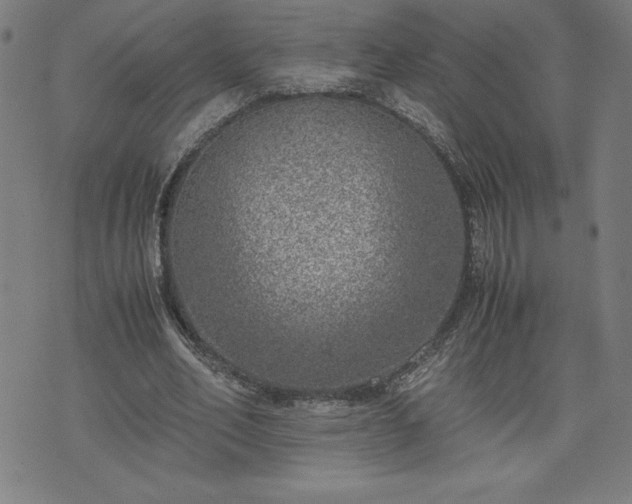 X0000072550582200607211401