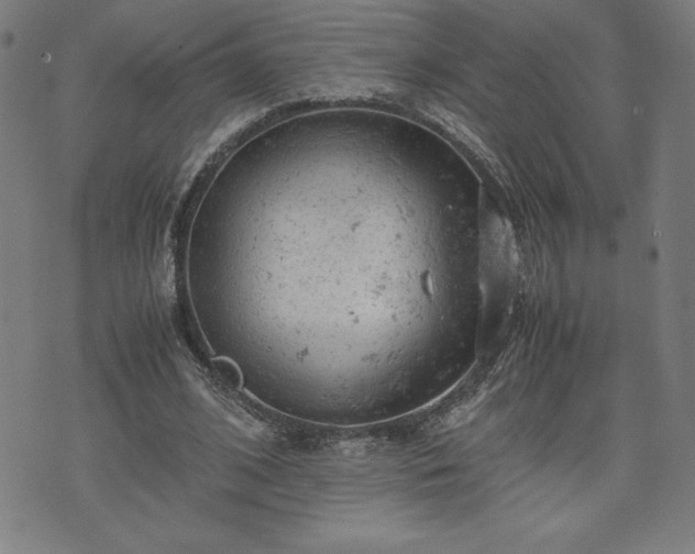 X0000072550584200607211401