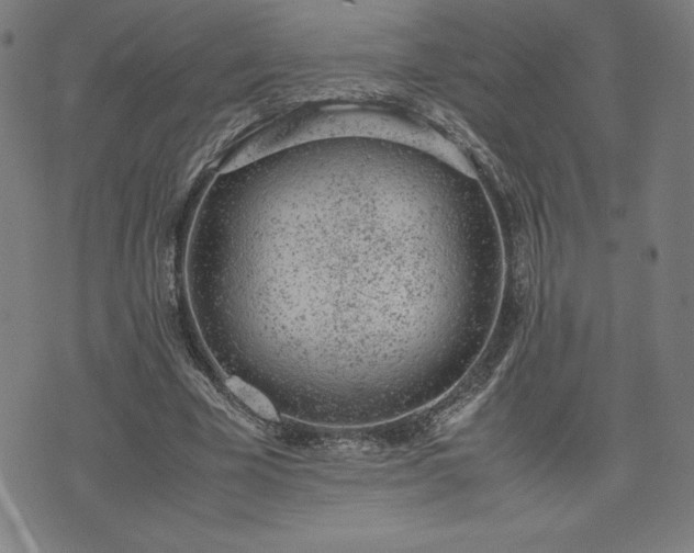 X0000072550585200607211401