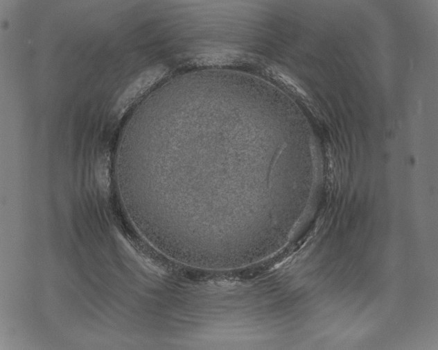 X0000072550586200607211401