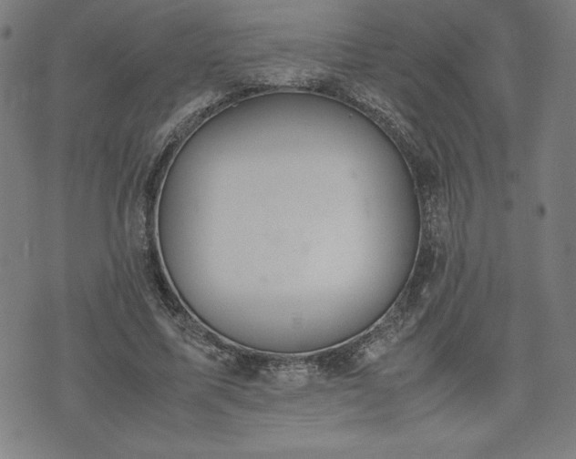 X0000072550587200607211401