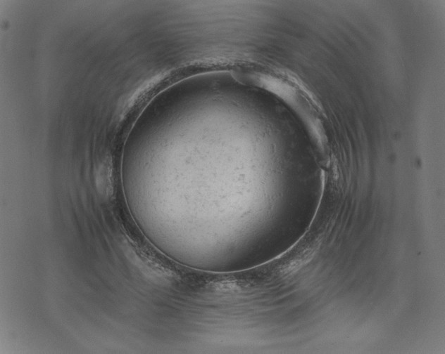 X0000072550588200607211401