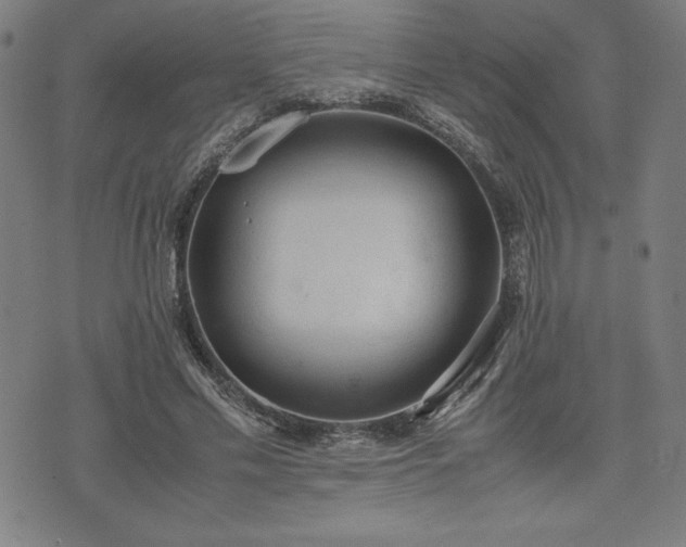 X0000072550589200607211401