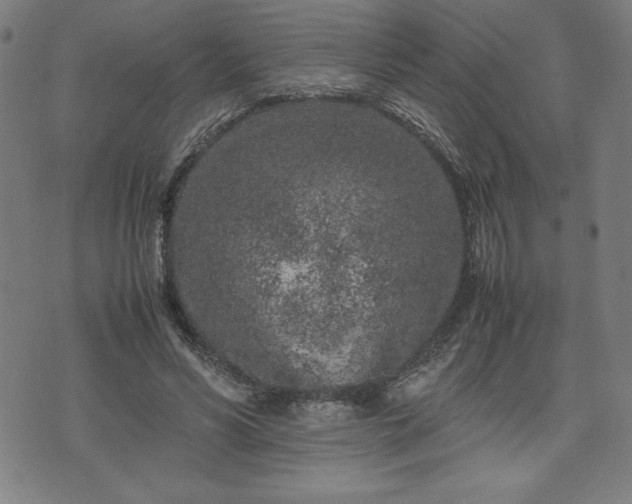 X0000072550590200607211401