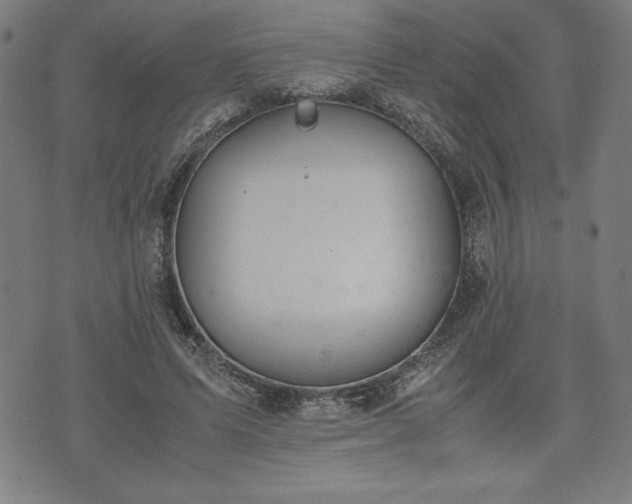 X0000072550591200607211401