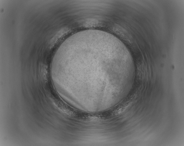 X0000072550592200607211401