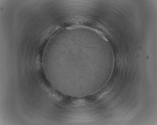 X0000072550594200607211401