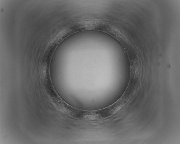 X0000072550595200607211401